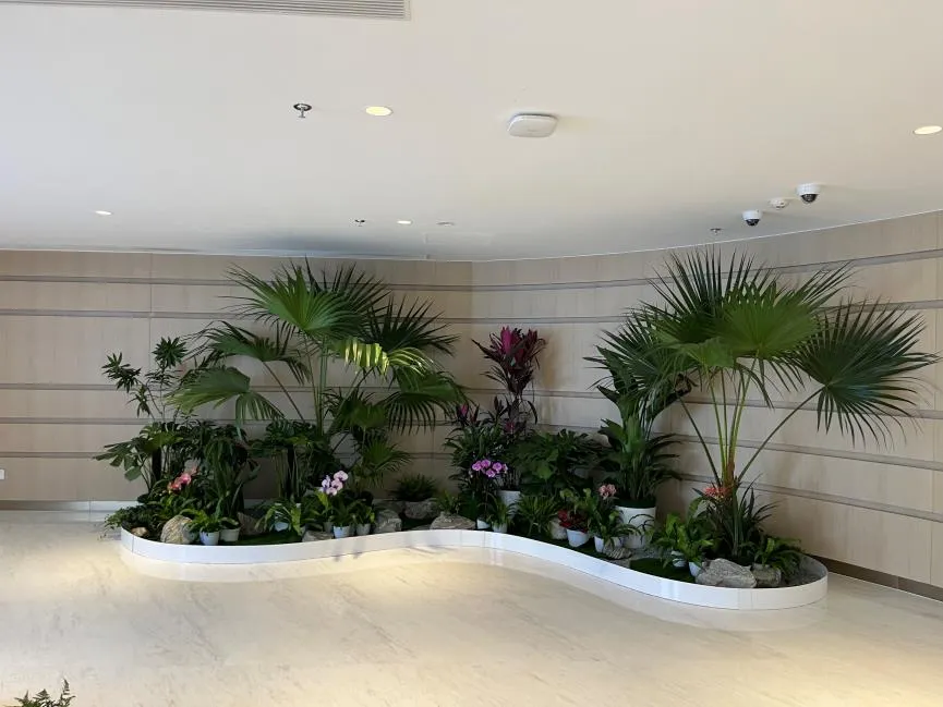 宁波绿植租摆专业